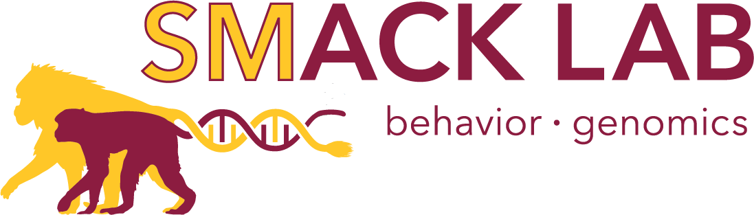SMACK LAB banner